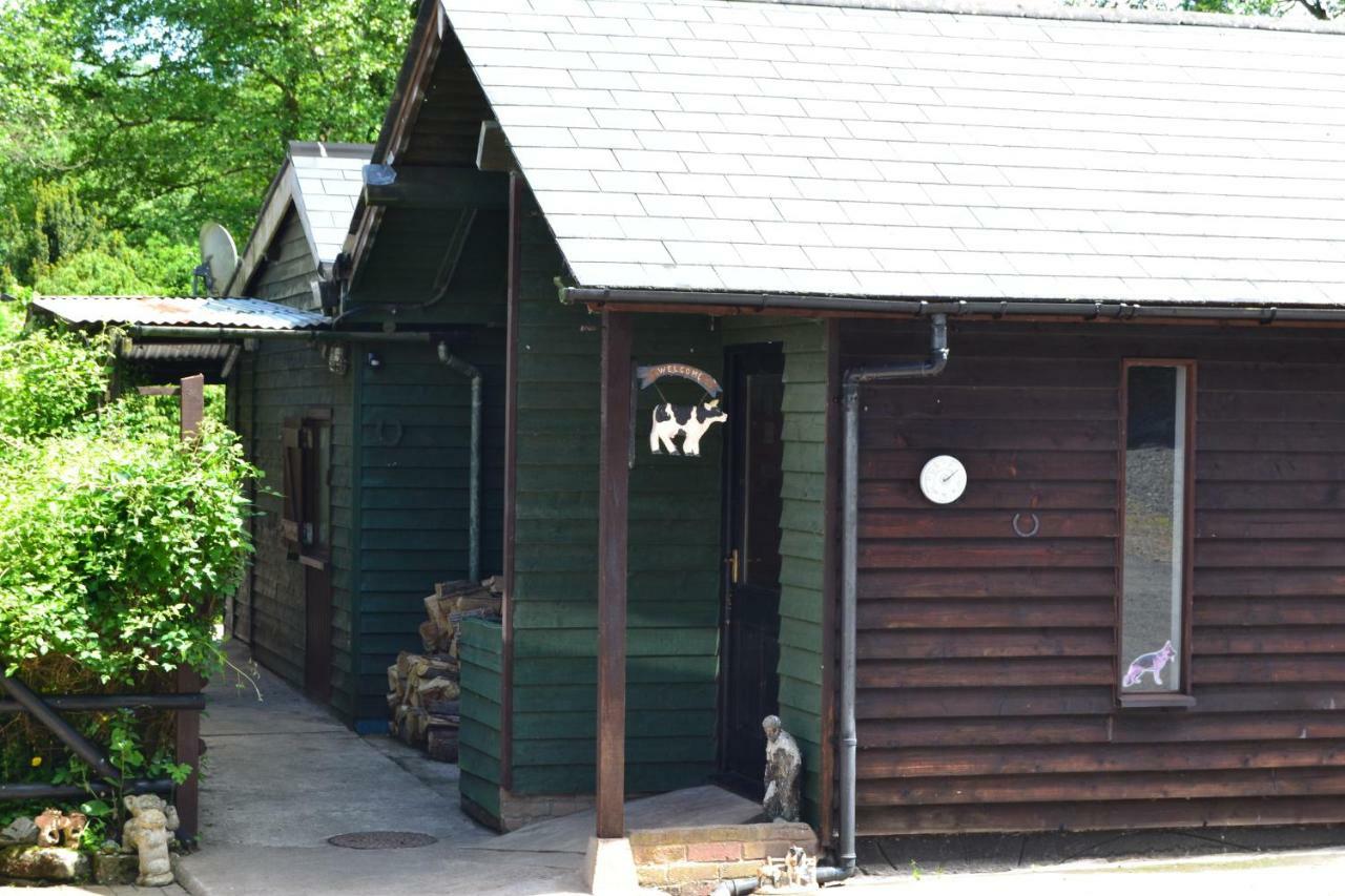 Arrowwood Self Catering Villa Кингтън Екстериор снимка